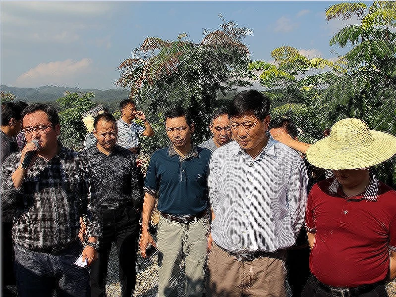 12月11日，观摩曼沙农场珍贵用材林基地