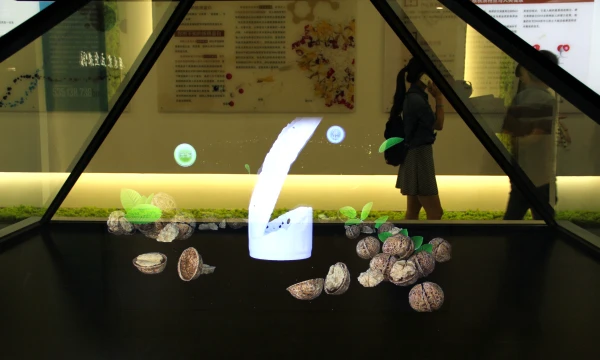 摩尔农庄三期展示区