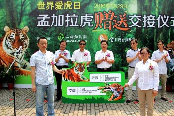 云南赠送上海的两只孟加拉虎在上海动物园举行交接仪式