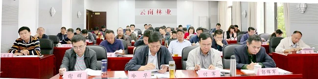 云南省林业厅参加”全国林业厅局长电视电话会“