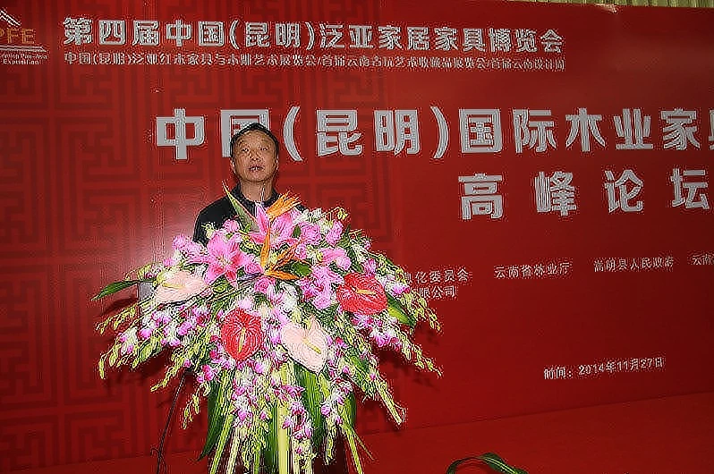 刘一丹代表林业厅发表题为&ldquo;如何从林业主管部门角度支持和助推木业家具行业转型升级&rdquo;的主题演讲