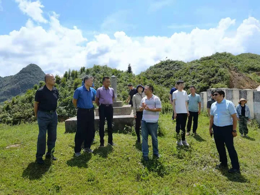 富宁县高端网站建设_(富宁县在建大项目2021) - 户外乐