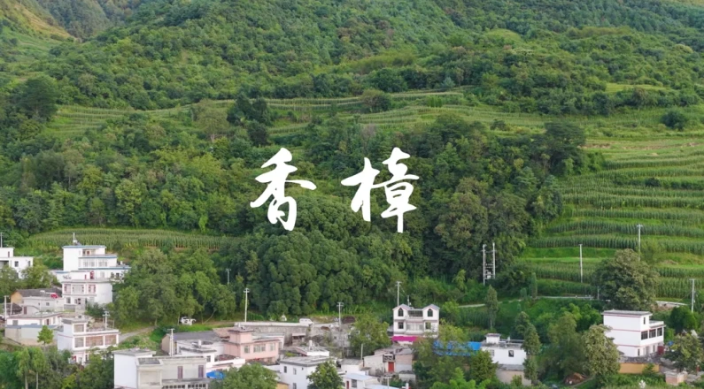 /uploadfile/s37/2025/1014/20251014050811396.mp4