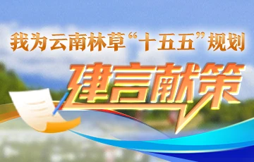 我为云南林草“十五五”规划建言献策