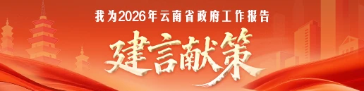 我为2026年云南省政府工作报告建言献策