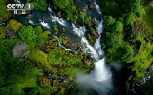 《探秘哀牢山》第三集:《幽谷菌语》