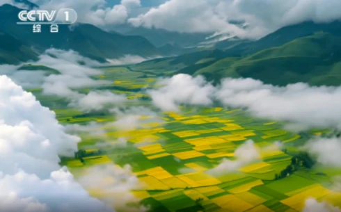 《探秘哀牢山》第四集:《奇幻生灵》