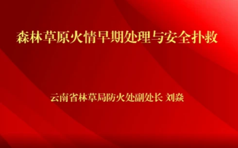 云南省森林草原火情早期处理与安全扑救公开课